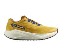 Salomon Scarpe Da Running Aero Blaze 3 Grvl