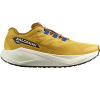Salomon AERO BLAZE 3 GRVL Scarpe da running 45,3 Giallo