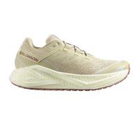 Salomon - Aero Glide 3 GRVL - Scarpe da corsa EU 42 2/3 beige