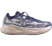 Salomon Aero Glide 4 GRVL Scarpe da running 43,3 Azzurro