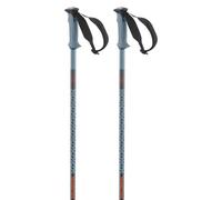 Salomon Bastoncini Polar Pro