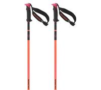 Salomon Bastoncini Polar Pro S3
