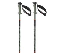 Salomon Bastoncini Polar Pro S3