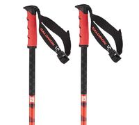 Salomon Bastoncini Steep Pro S3