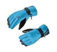 Salomon Force Dry M, Guanti Comodi, LC1182700 Uomo, Nero/Blu (Fjord Blue), XL