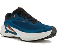 Salomon Genesis 2 Gore-Tex 45.1/3