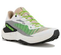 Salomon Genesis 38