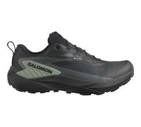 Scarpe da uomo Salomon Genesis Gore-Tex Misura delle scarpe (EU): 41 1/3 / Colore: nero/verde