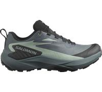 Salomon GENESIS GTX W Scarpe per sentieri 41,3 Grigio