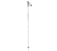 Salomon NORTHPOLE LADY, Bastoncini da Sci da Donna, Alluminio, Grigio (Lady Grey), 105 cm