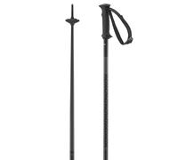 Salomon Polar Access, Alpine Poles
