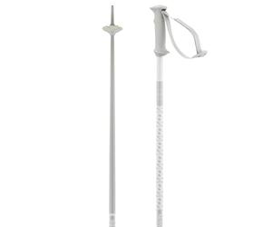 Salomon Polar Access, Alpine Poles