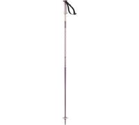 Salomon Polar - Alpine Poles Unisex Adulto
