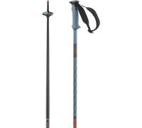 Salomon Polar Pro, bastoncini da sci, blu 130cm Copen Blue