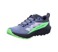 Salomon Scarpe da Corsa Sense Ride 5 GTX Flint/B, Flint Stone Black Green Gecko, 42 EU