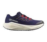 Salomon - Women's Aero Blaze 3 Grvl - Scarpe da corsa EU 40 variopinto