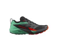 Scarpe da corsa da uomo Salomon Sense Ride 5 Misura delle scarpe (EU): 43 2/3 / Colore: grigio/verde