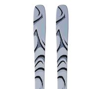 Salomon Sci Alpini Qst 100