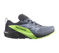 Salomon Sense Ride 5 Gore-tex® Trail Running Shoes Grigio EU 40 Uomo