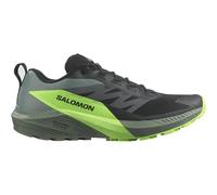 Scarpe da corsa da uomo Salomon Sense Ride 5 Misura delle scarpe (EU): 44 / Colore: nero/verde