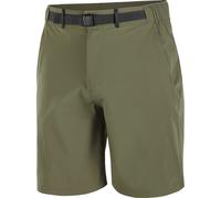 SALOMON Wayfarer Shorts 2.0 - Uomo - Verde - Taglia S- modello 2026