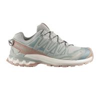 Salomon - Women's XA Pro 3D V9 GORE-TEX Lifelong - Scarpe sportive EU 40 2/3 grigio
