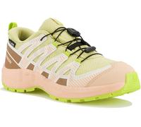 Salomon XA PRO V8 WP 35