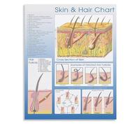 Salon Consultation Tool Skin Hair Care Reference Chart Laminated Educational Poster for Stylist Studio Office and Reception Decor(Unframed,12x18inch(30x45cm))