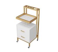 Salon Parrucchiere Utility Cart con Asciugacapelli Rack di Stoccaggio 2 Cassetti e Guardrail di fascia alta Carrello Strumento Professionale per Salone di Bellezza Salone