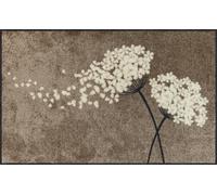 Salonloewe Wishfull Blossom - Zerbino lavabile, motivo floreale, 75 x 120 cm, colore: tortora