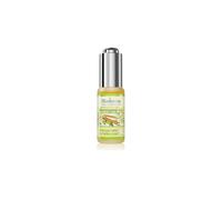 Saloos Cold Pressed Moringa 20 ml - Olio vegetale