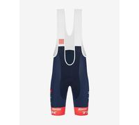 Salopette Trek-Segafredo 2022 Fan Line blu rosa bianco - 3XL