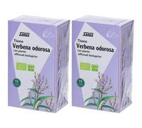 Salsu Tisana Verbena 2x27 g Bustine filtro