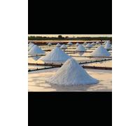 Salt Codes: Electrolytes, Memory & the Liquid Mind