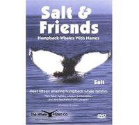 Salt & Friends: Humpback Whales With Names