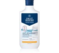 Salt House Dead Sea Therapy Anti-dandruff Shampoo shampoo antiforfora 250 ml