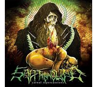 Salt The Wound - Carnal Repercussions