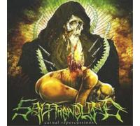 Salt The Wound - Carnal Repercussions