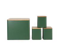 Salter Toronto Set da 4 Pezzi per il Piano Cucina - Porta Pane, Contenitori per Tè, Zucchero e Caffè Finitura Verniciata a Polvere, Coperchi in Legno di Acacia, Vasetti Eleganti per la Dispensa, Verde