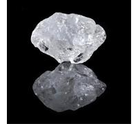 Saltland - A Common Truth