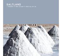 Saltland - I Thought It Was Us Butit Was All Of Us