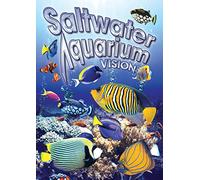 Saltwater Aquarium Vision