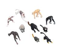 Saluaqui 10 Pezzi di Modelli Primate Set con Mini Proboscis Monkey, Gibbon, Orangutan e Lemur Animal Ornaments per l'uso Educativo e Decorativo