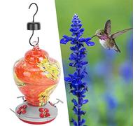 Saluaqui Alimentatore Colorato di Colibrì con Pesce Persico a Riposo e Fossato Strumento di Alimentazione degli Uccelli da Giardino in Vetro Affidabile | Attraente Decorazione del Cortile (G)