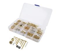 Saluaqui Kit a Vite di Chitarra Elettrica Completa con Viti Metalliche e Molle in Argento - Dimensioni Diverse e Conservazione Organizzata per una Facile Riparazione della Chitarra (GOLD)