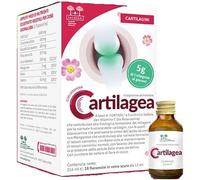 CARTILAGEA Salugea - Integratore 100% Naturale per il Benessere delle Cartilagini - con Collagene idrolizzato, Glucosamina, Condroitina, Rosa Canina (Vit. C), Manganese, Rame e Selenio - 18 flaconcini