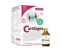 CARTILAGEA SALUGEA 18FL