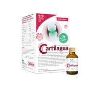 CARTILAGEA SALUGEA 18FL