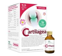 CARTILAGEA SALUGEA 18FL