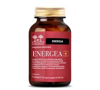 Salugea Energe 60cps